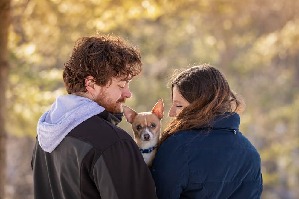 Chihuahua ESA Completes Family Shadow Dog Photography