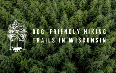 Dog-Friendly Hiking Trails in Wisconsin